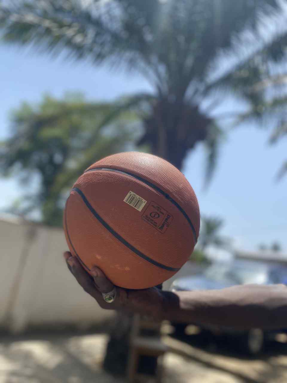 Vignette 2 : Ballon de basket